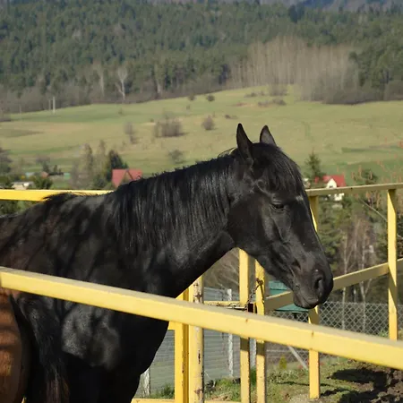 Konska Gorka Feriegård