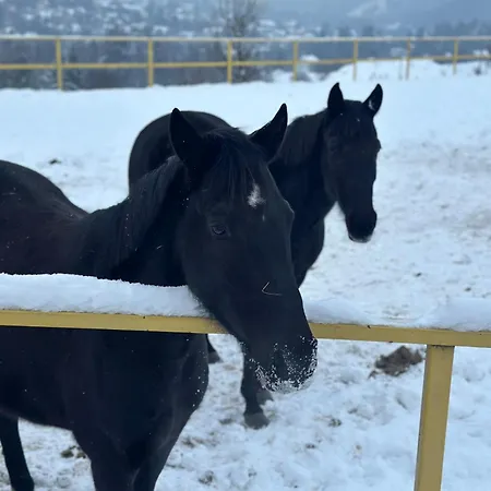Konska Gorka Bauernhof