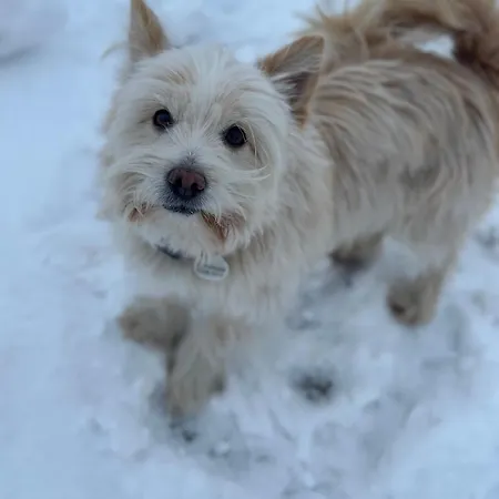 Konska Gorka Bauernhof Rabka-Zdrój