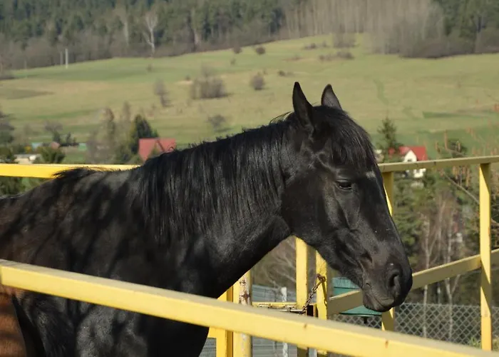 Konska Gorka Bauernhof