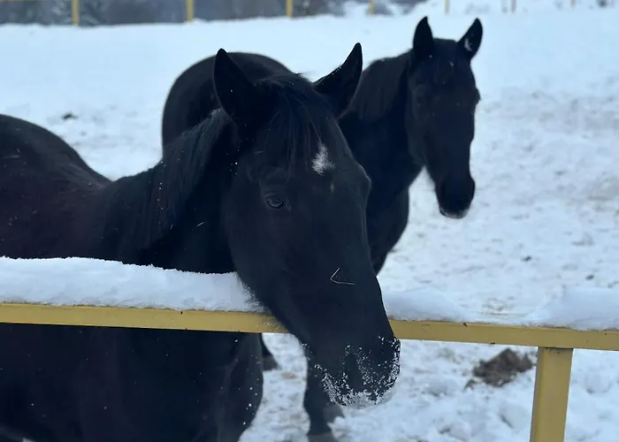 Konska Gorka Bauernhof