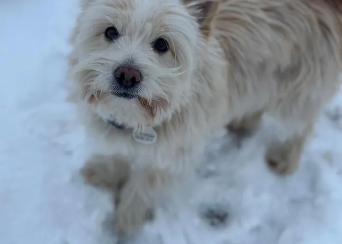 Konska Gorka Bauernhof Rabka-Zdrój